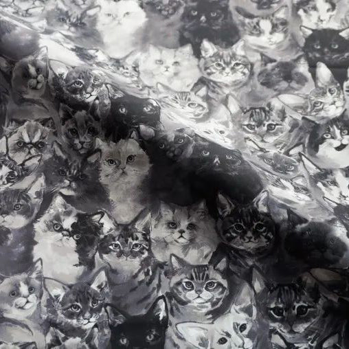 Girls Black"Find your Cat!-Black Cats/Plie/Black"Ballet Onesies