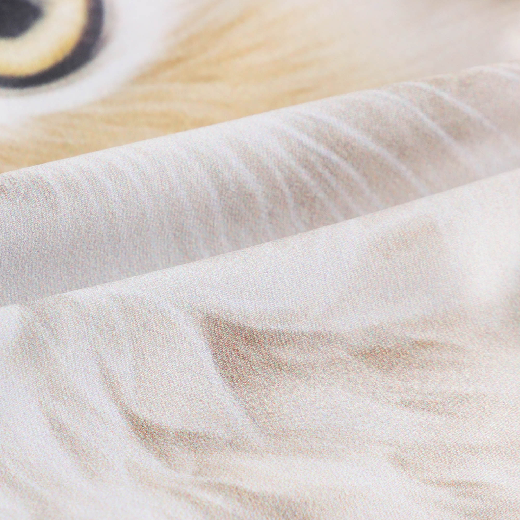 Girls Honey Cat Boatneck Ballet Onesies(J231LE22VL/hone)